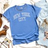 Simply Sage Market Embroidered New York Varsity Garment Dyed Tee - 3 of 4