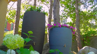 Algreen 50 Gallon Brown Plastic Rain Barrel with Pump