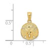 Black Bow Jewelry 14k Yellow or White Gold Textured Sand Dollar Pendant, 12mm (7/16 In) - 3 of 4