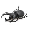 CWG | Rhinoceros Beetle, Very Nice Rubber Reproduction    2 3/4"    CWG04 B13 - 2 of 4