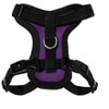 Step-in Lock Adjustable Cat Harness w. Cat Leash Combo Set with Neoprene Handle 5ft - Small, Medium and Large Breed Cats - 2 of 4