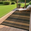 Outdoor Rug Waterproof Patio Rug, Reversible Plastic Outside Carpet, Striped Camping Straw Rugs, for RV Deck Balcony Backyard - 3 of 4