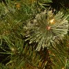 National Tree Company 4 ft. Atlanta Spruce Entrance Tree with Clear Lights - 3 of 4