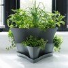 Bloem Collins 16" Stackable 2-Level 6 Mini Potting Vertical Resin Planter Solution for Succulents and Herbs, Charcoal Grey - 3 of 4