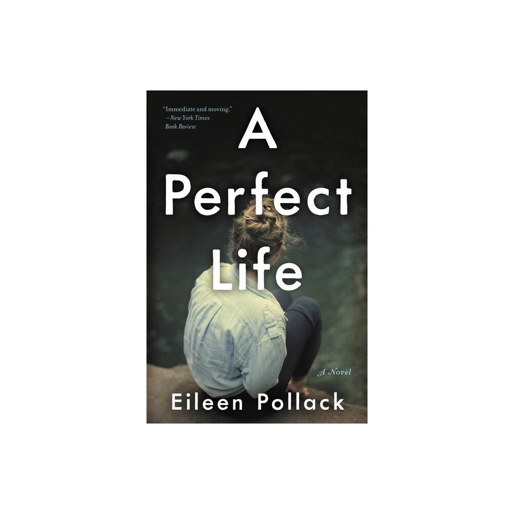 A Perfect Life - by Eileen Pollack (Paperback)