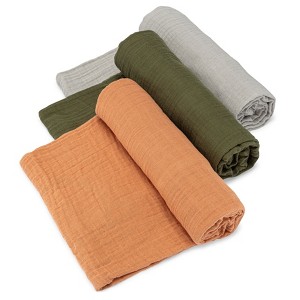 Parker Baby Co. Swaddle Blankets - 1 of 4
