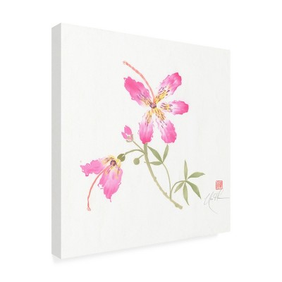 Symmetrical Pink Flower and Butterfly Canvas Art with Wood Frame