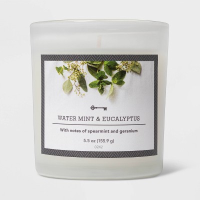 5.5oz Glass Jar Watermint and Eucalyptus Candle - Threshold™