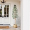 7ft Pencil Artificial Olive Tree with Real Wood Trunk & Silk Leaves, UV Resistant Faux Plant in Decorative Pot & Basket for Home and Office Decor - 4 of 4
