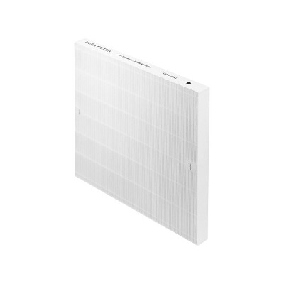 Coway True HEPA and Carbon Air Purifier Filter Set