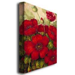 22" x 32" Red Poppies Canvas Art by Rio
