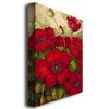 22" x 32" Poppies II by Rio - Trademark Fine Art - 3 of 4