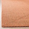 Braided BRD166 Hand Woven Rug - Safavieh - 2 of 3