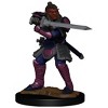 Dungeons & Dragons Nolzur's Marvelous Miniatures - Hobgoblin Fighter Male & Hobgoblin Wizard Female - 2 of 4