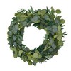 Farmlyn Creek 3 Pack Artificial Eucalyptus Willow Garland, Fake Faux Greenery Leaves, 6.5 Feet - 3 of 4