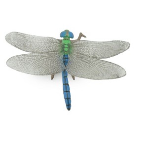 Collectible Wildlife Gifts | Dragonfly, Damselfly, Bluetail, Museum Quality, Hand Painted, Rubber Insect, Model,  Toy, Gift,  3 1/2"   CH517 BB157 - 1 of 4