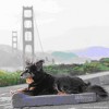 Barker Junior 4" Orthopedic Dog Bed - 2 of 4