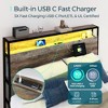 Metal Bed Frame with Drawers, Headboard Shelf, Charging, LED - 3 of 4