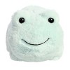 Aurora Medium Friesia Frog Spudsters Adorable Stuffed Animal Green 10" - 2 of 4