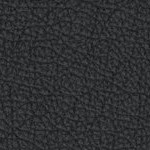 washington state cougars