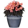 Classic Home and Garden Indoor/Outdoor Round Corinthian Resin Flower Pot Planter - 2 of 4
