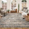 6x9 Neutral Area Rug for Living Room, Soft Vintage Distressed Washable Large Area Rugs Retro Abstract Indoor Floor Carpet, Low Pile,Taupe Multi - 2 of 4