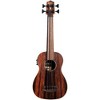 Kala Striped Ebony Fretless Acoustic-Electric U-Bass - 3 of 4