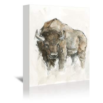 Americanflat Animal American Buffalo Ii By Ethan Harper By World Art Group Wrapped Canvas