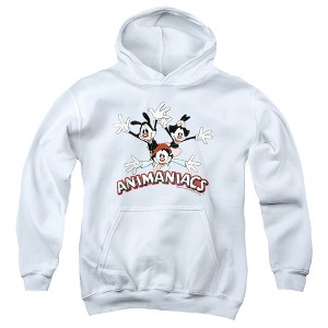 Boys’ Animaniacs Animaniacs Trio Hooded Sweatshirt - 1 of 4