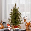 3' Unlit Bristle Cone Pine Artificial Christmas Tree - National Tree Company - 2 of 3