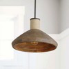 Capital Lighting Jacob 1 - Light Pendant in  Grey Wash/Iron Silk - 2 of 4