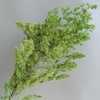 Alilang Decorative Dried Fine Leaf Stems for Home Decoration and Floral Arrangements, 17.7 Inches - 3 of 3