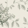 Laura Ashley Portland Fern Wallpaper - 4 of 4