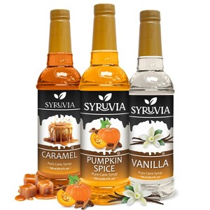 Syruvia Variety Pack - Pumpkin Spice, Caramel & Vanilla Syrup 25.4 Fl oz (3-Pack) - 1 of 4
