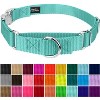Country Brook Petz Heavyduty Nylon Martingale with Premium Buckle - 3 of 4
