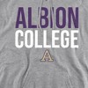 Albion College Official Stacked Adult Pull-Over Hoodie - 2 of 4