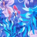 electric iris hibiscus