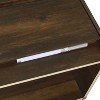 Sapphtopaz Modern Nightstand with 2 Drawers Rectangle Bedside Table with LED and USB Ports Wood Night Stand for Bedroom, Living Room - 4 of 4