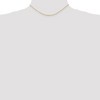 Black Bow Jewelry 1.5mm, 14k Yellow Gold Light Diamond Cut Rope Chain Necklace - 2 of 4