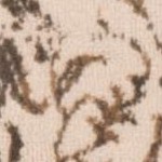 cream/bronze