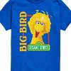 Boys' - Sesame Street - Big Bird Photo Short Sleeve Graphic T-Shirt - 2 of 4
