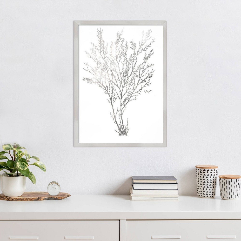 Photos - Other Decoration Amanti Art 19"x25" Gray Algae I by Jennifer Goldberger Wood Framed Wall Art Print