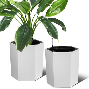 Hexagonal Planters Set of 2, Self Watering Pots for Indoor Plants with Water Level Monitor, Drainage Hole, Bottom Wheels, Outdoor Planter Pots - 1 of 4