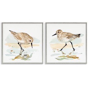 Stupell Industries Sea Birds on Shore, 17" x 17" - 1 of 4