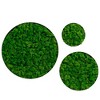 ChicFurnit Wall Art Round Framed Moss Wall Decor Nature Fusion Preserved Moss for Home Living Room and Office, Green, 24"*24"*2" - 2 of 4