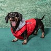Doggie Design Weekender Dog Sweatshirt Hoodie - Red - 2 of 3