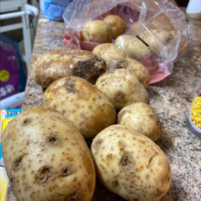 Russet Potatoes 5lb. Bag – Green Lane