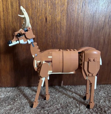 Guest review image 1 of 2, zoom in