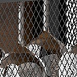 rustic brown + black