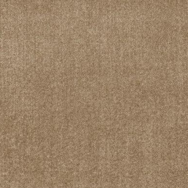 sahara